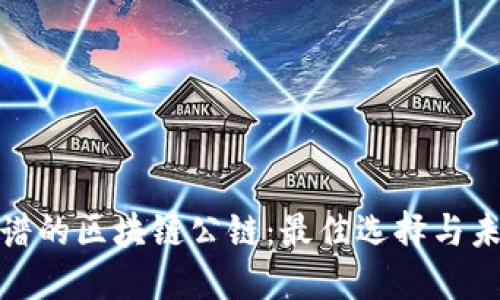 探索靠谱的区块链公链：最佳选择与未来趋势