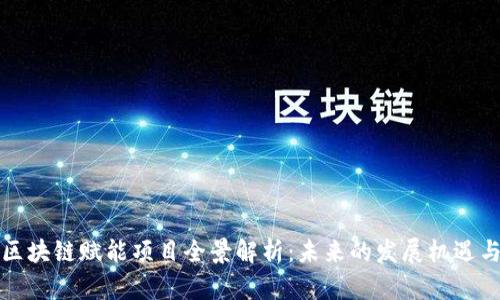 宁波区块链赋能项目全景解析：未来的发展机遇与挑战