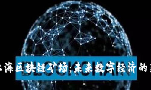 探索上海区块链矿场：未来数字经济的新前沿