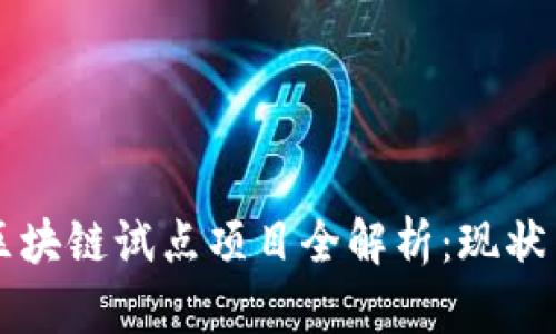 山东区块链试点项目全解析：现状与未来