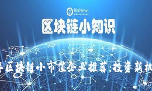 2023年区块链小市值企业推荐：投资新机会解析