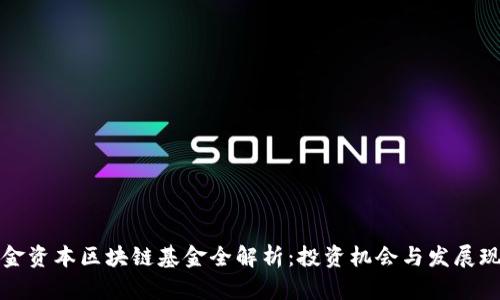 华金资本区块链基金全解析：投资机会与发展现状