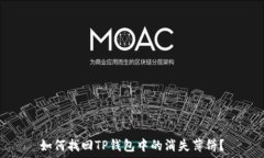   如何找回TP钱包中的消失