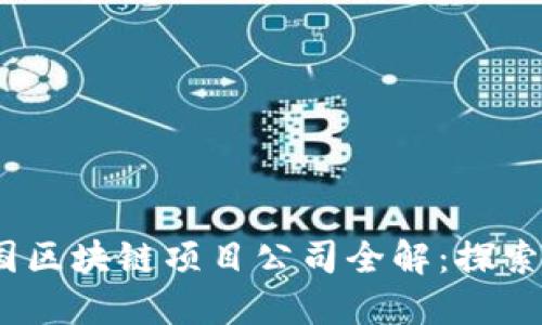 2023年中国区块链项目公司全解：探索潜力与机遇