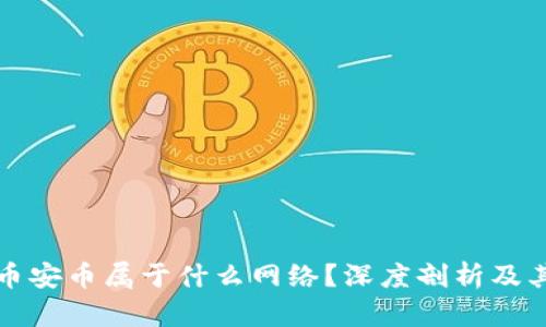 TP冷钱包币安币属于什么网络？深度剖析及其应用场景
