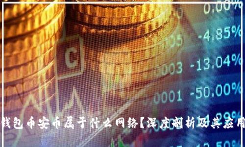 TP冷钱包币安币属于什么网络？深度剖析及其应用场景
