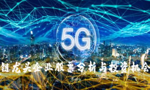 区块链龙头企业股票分析与投资机会探讨