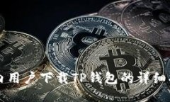 国内用户下载TP钱包的详细