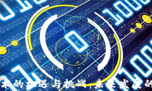 
区块链技术的机遇与挑战：未来发展的全景分析