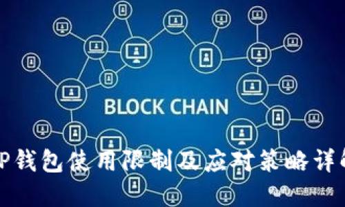 TP钱包使用限制及应对策略详解