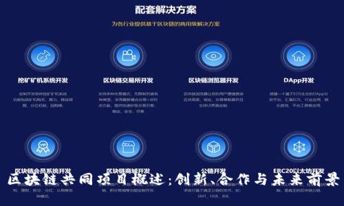 区块链共同项目概述：创新、合作与未来前景