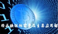 赛特区块链的前景及主要