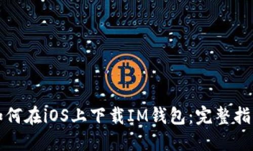 如何在iOS上下载IM钱包：完整指南