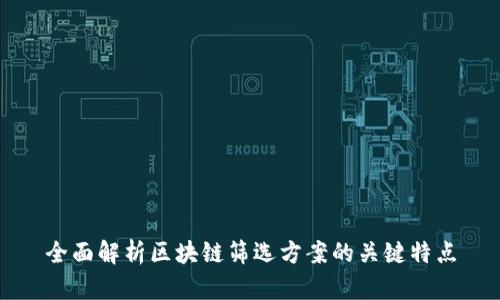 全面解析区块链筛选方案的关键特点