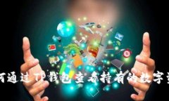 如何通过TP钱包查看持有的