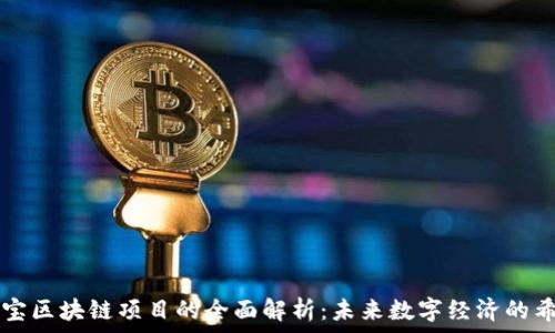   
宝宝区块链项目的全面解析：未来数字经济的希望