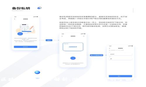 区块链混杂项目解析：潜力与风险的全面探讨