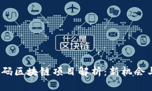 2023年首码区块链项目解析：新机会与潜力投资