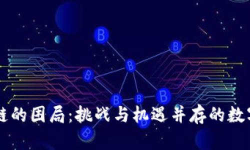 区块链的困局：挑战与机遇并存的数字未来