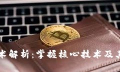 区块链技术解析：掌握核