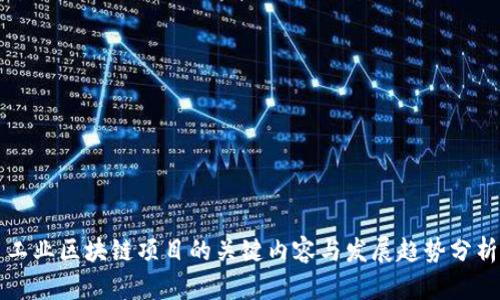 工业区块链项目的关键内容与发展趋势分析