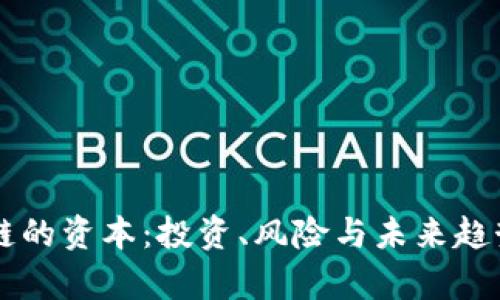 区块链的资本:投资、风险与未来趋势分析