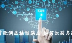 揭露欧洲区块链骗局：如