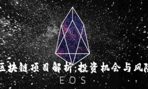 百倍区块链项目解析：投资机会与风险分析