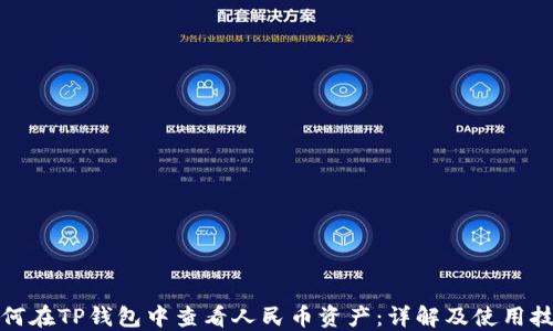 
如何在TP钱包中查看人民币资产：详解及使用技巧