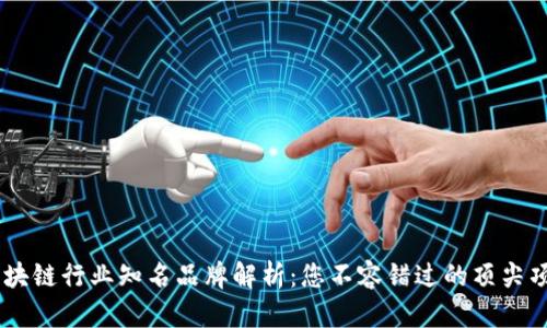 区块链行业知名品牌解析：您不容错过的顶尖项目