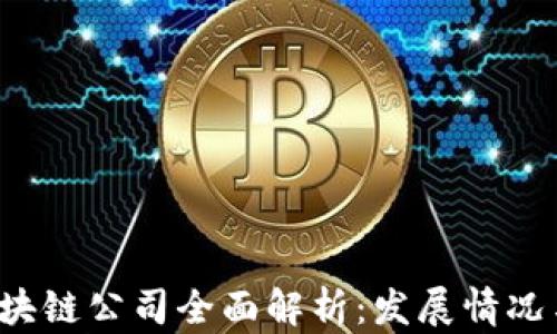 
 栖霞区区块链公司全面解析：发展情况与前景展望