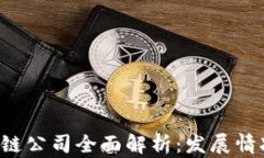  栖霞区区块链公司全面解