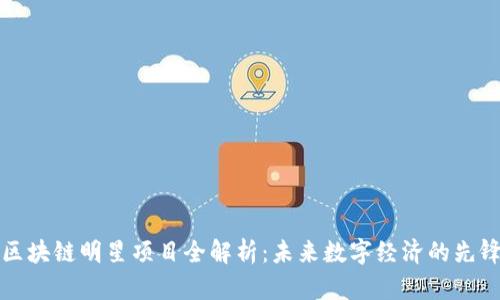 区块链明星项目全解析：未来数字经济的先锋