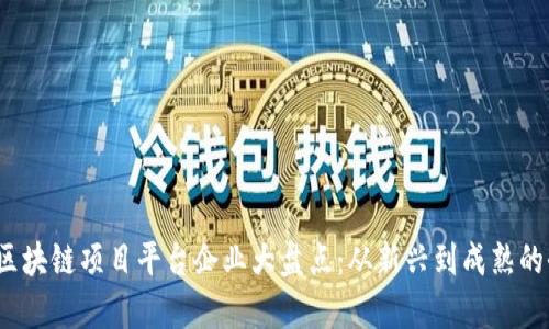 2023年区块链项目平台企业大盘点：从新兴到成熟的全景分析