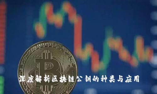 深度解析区块链公钥的种类与应用