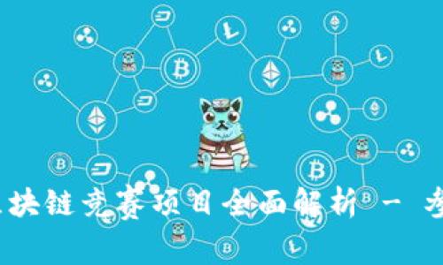 2023年全球国际区块链竞赛项目全面解析 - 参与方式与最佳实践