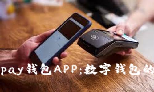 全面解析Topay钱包APP：数字钱包的创新与未来
