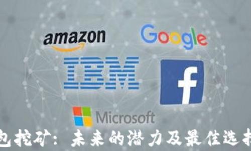 
TP钱包挖矿: 未来的潜力及最佳选择解析