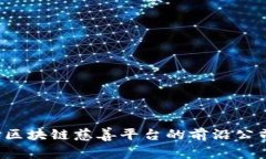 2023年区块链慈善平台的前