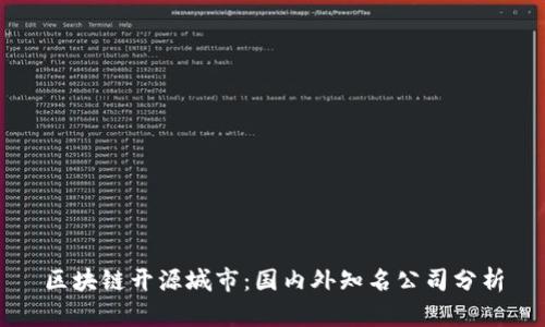 区块链开源城市：国内外知名公司分析