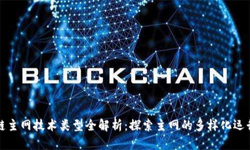 区块链主网技术类型全解析：探索主网的多样化运行机制
