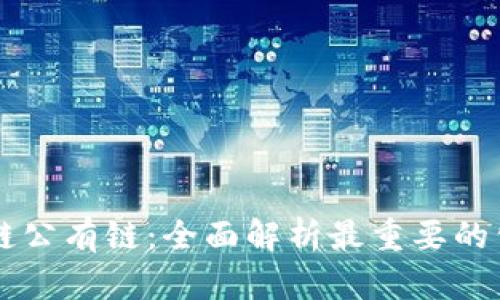 揭秘区块链公有链：全面解析最重要的公有链项目