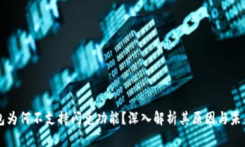 TP钱包为何不支持闪兑功能？深入解析其原因与未来展望