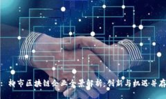 : 柳市区块链企业全景解析