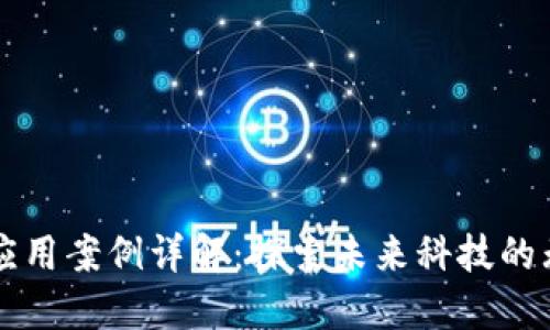 区块链应用案例详解：探索未来科技的无限可能