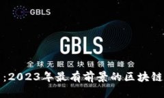 深入探索：2023年最有前景