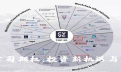 区块链公司期权：投资新