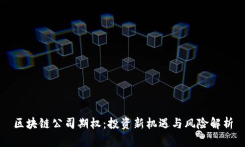 区块链公司期权：投资新机遇与风险解析