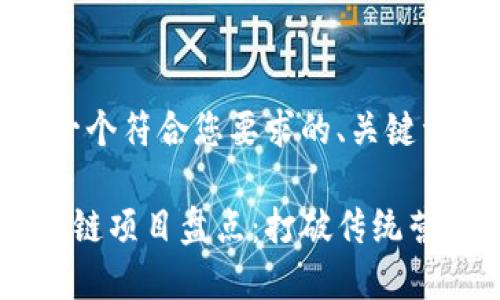 好的，下面是一个符合您要求的、关键词和内容大纲。

数字营销区块链项目盘点：打破传统营销的新时代