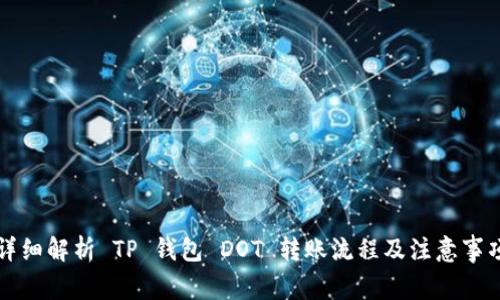 详细解析 TP 钱包 DOT 转账流程及注意事项